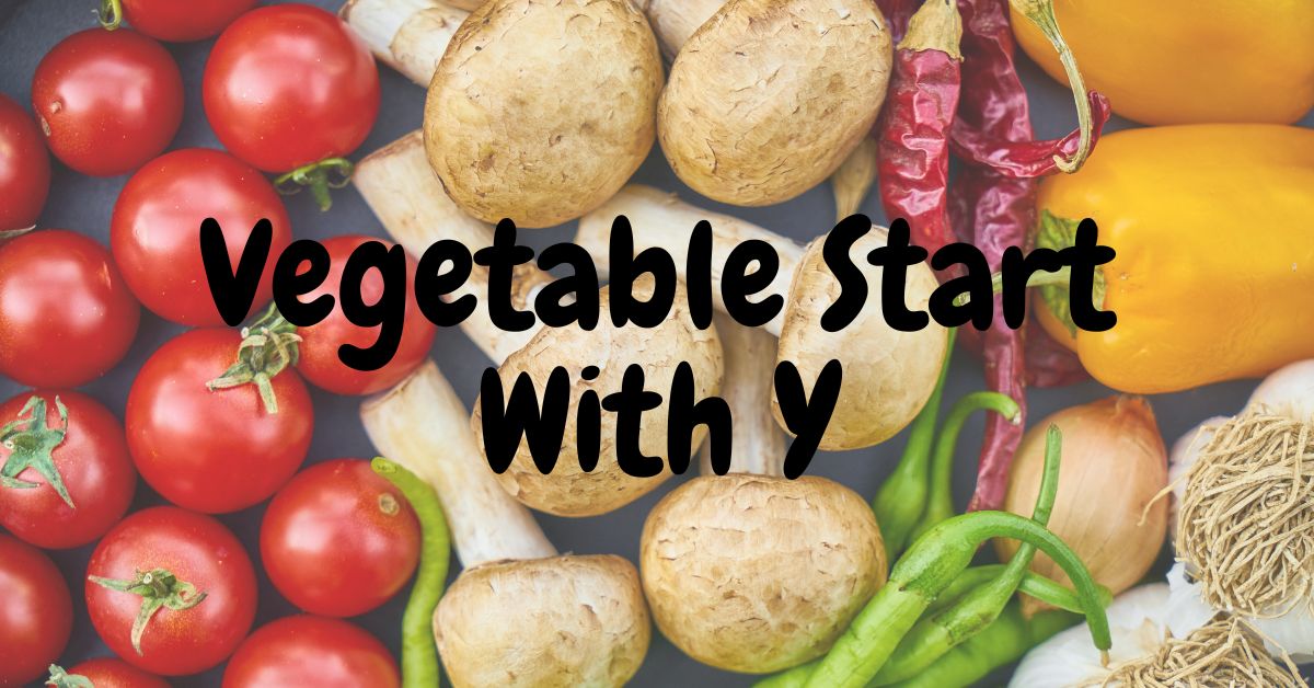 Vegetable Start With Y