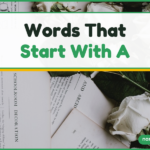 Words That Start With A