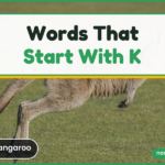 Kangaroo — words that start with k