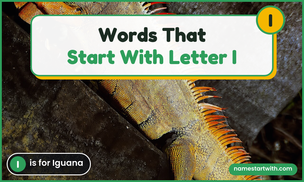 Iguana — words that start with I