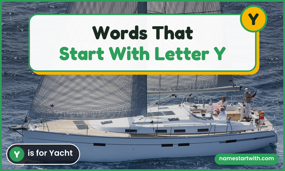 Yacht — words that start with Y