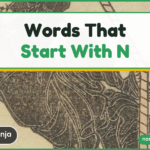 Ninja — words that start with n