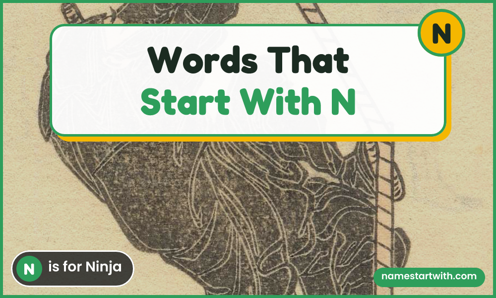 Ninja — words that start with n
