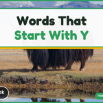 Yak — words that start with y